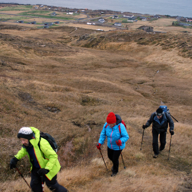 Á leið upp valllendismóa neðan til í Vaðlaheiði.