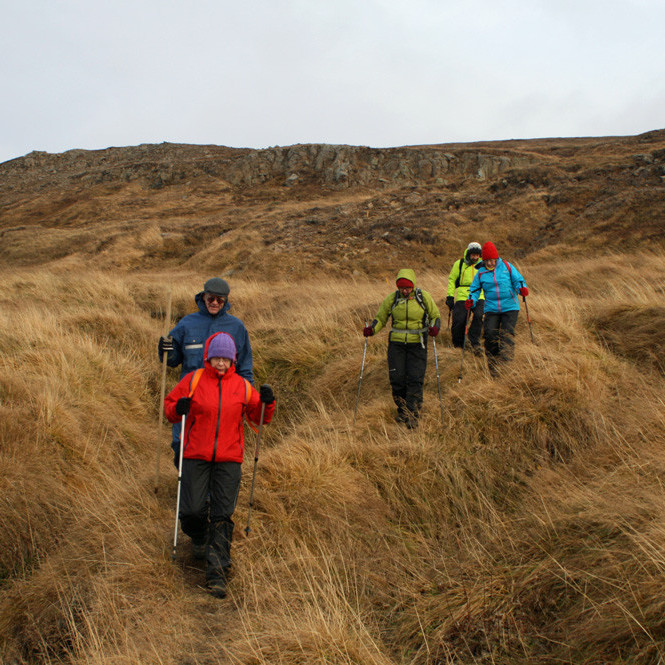 Á heimleið í snarrótarmóum vestan í Vaðlaheiði.
