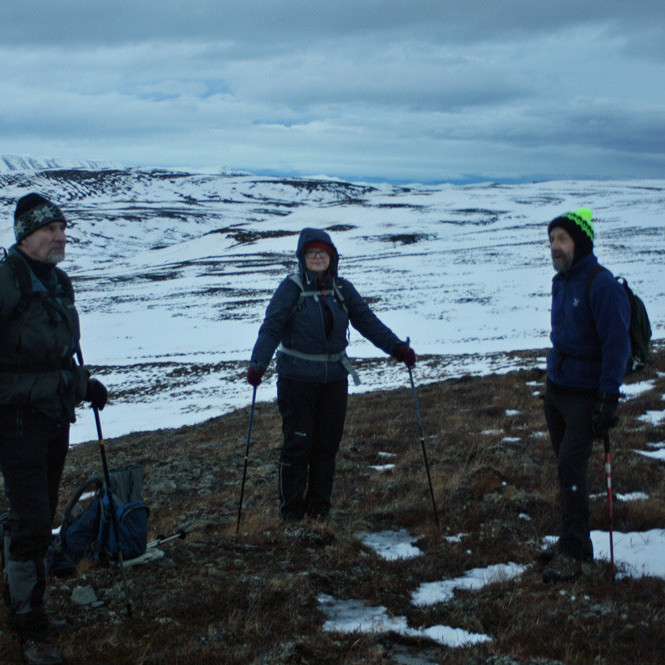 Stutt áning sunnan á Draflastaðafjalli. Hér voru 6 útigengnar kindur.