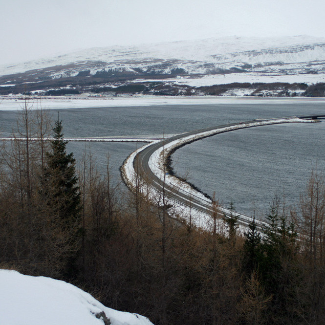 Horft úr Vaðlareit yfir Leiruveginn til Kjarnaskógar.