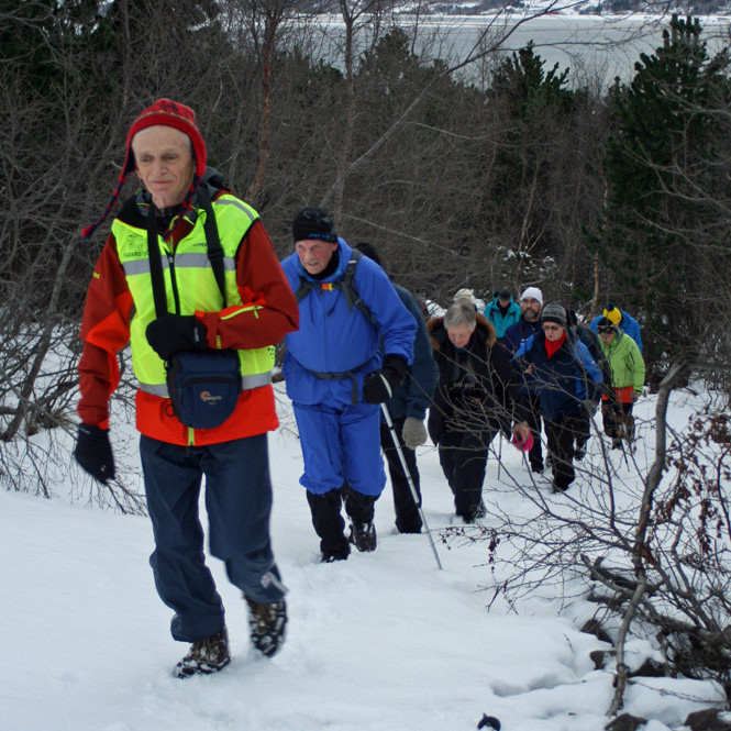 Komið upp úr skóginum við Húsabrekku nyrst í Vaðlareit.