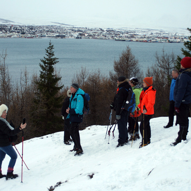 Horft úr Vaðlareit norðvestur til Oddeyrar.