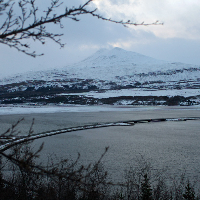 Horft úr Vaðlareit til Súlnafjallgarðs.