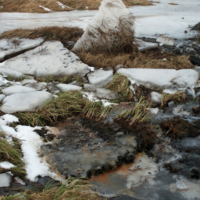 Klakahröngl í mýrarsundi við veginn inn Glerárdal að vestan.