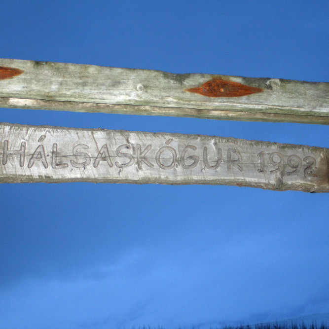 Hliðið inn í Hálsaskóg vestan Glæsibæjar