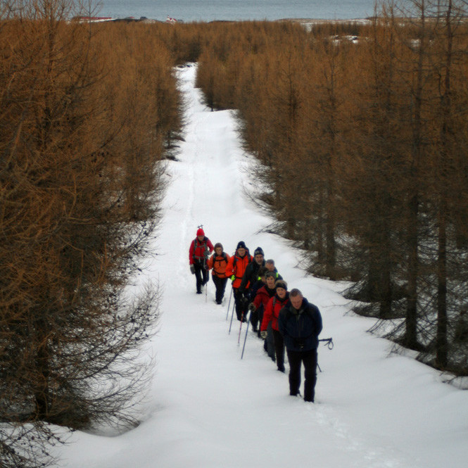 Á leið upp úr Hálsaskógi eftir þægilegum stíg