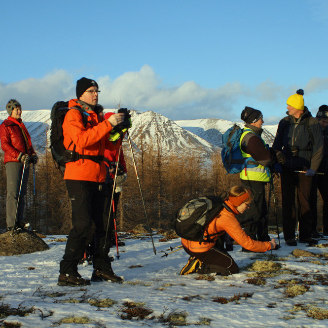 Stutt áning á holti ofarlega í Hálsaskógi