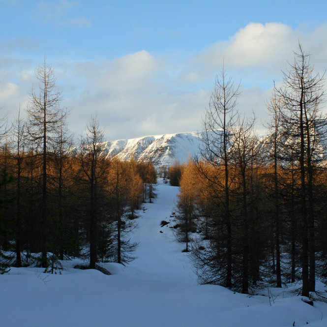 Í Hálsaskógi: horft til fjalla norðvestan Hörgárdals