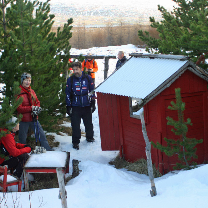 Í skóginum stóð kofi einn: leiksvæði barna í Hálsaskógi