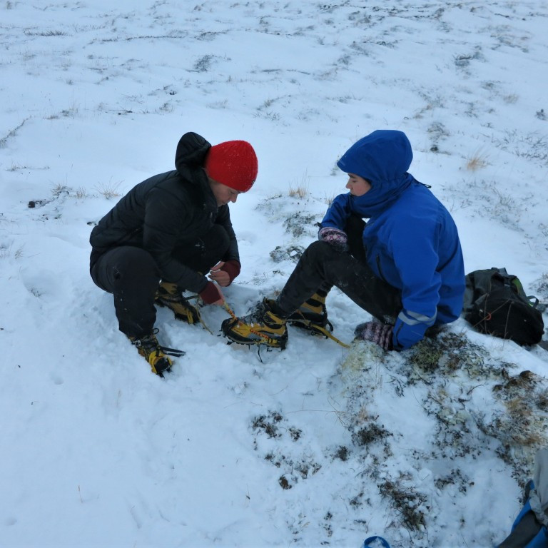 Broddarnir settir undir