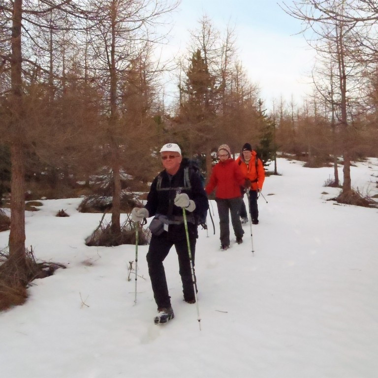 Fórum eftir stígum í Hvamslandi.