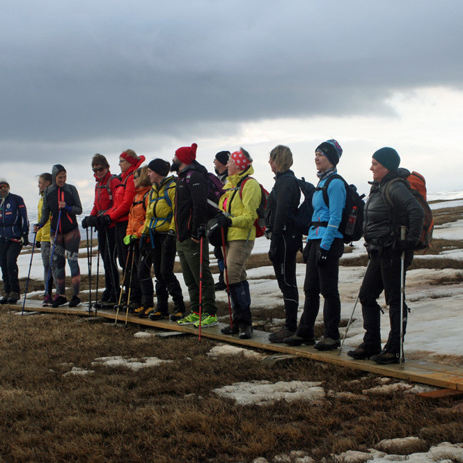 Hluti hópsins á mýrabrú á Súlugötunni.