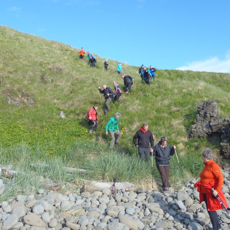 Farið niður bakkann fétt sunnan við fossinn.