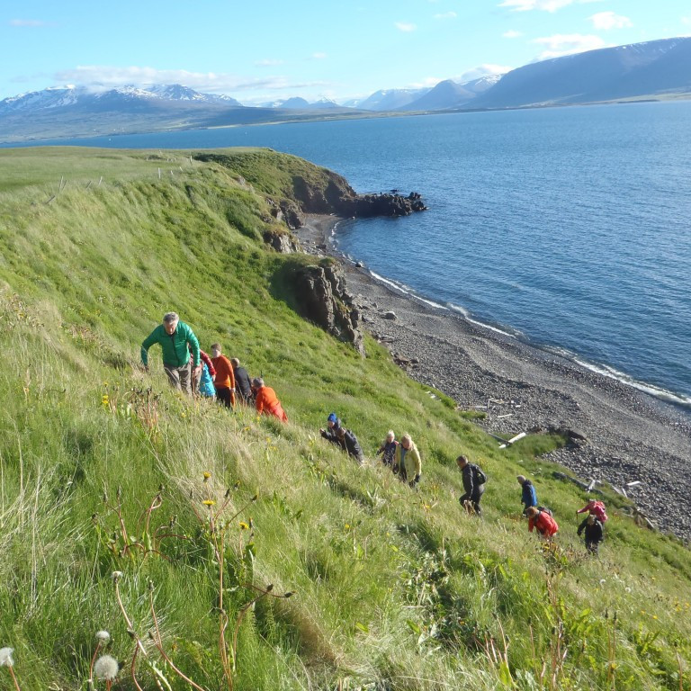 Farið upp bakkann aftur