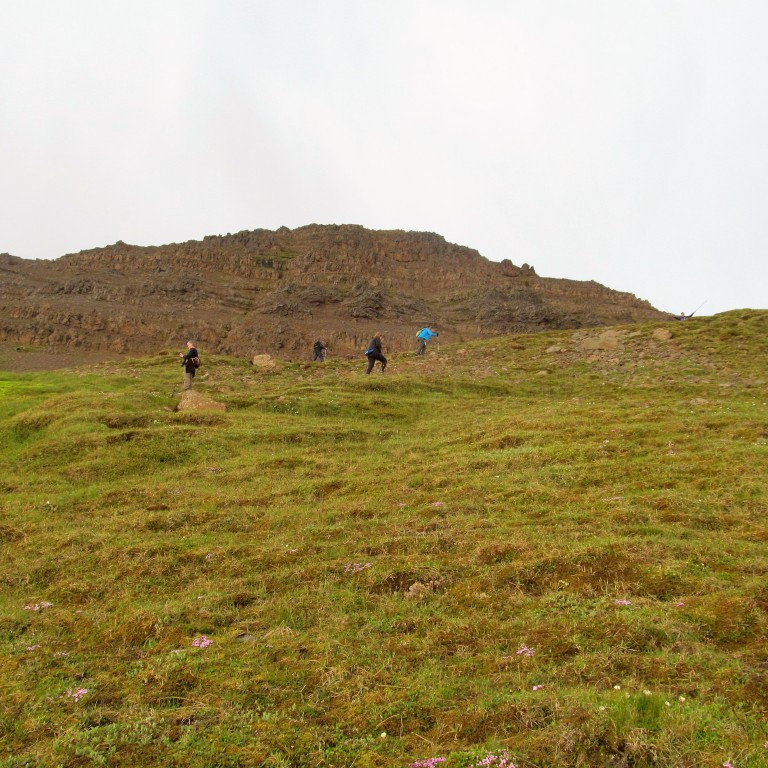 Alveg að hafast upp í skál.