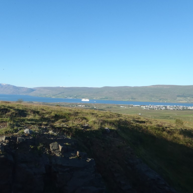 Skemmtiferðaskip siglir út fjörðinn