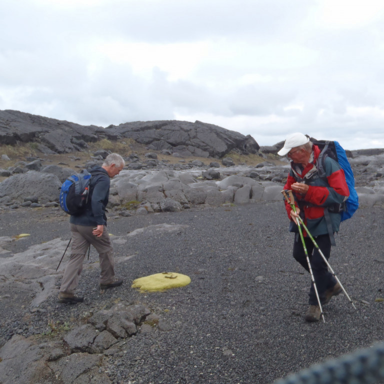 Fallegur mosi í auðninnni.