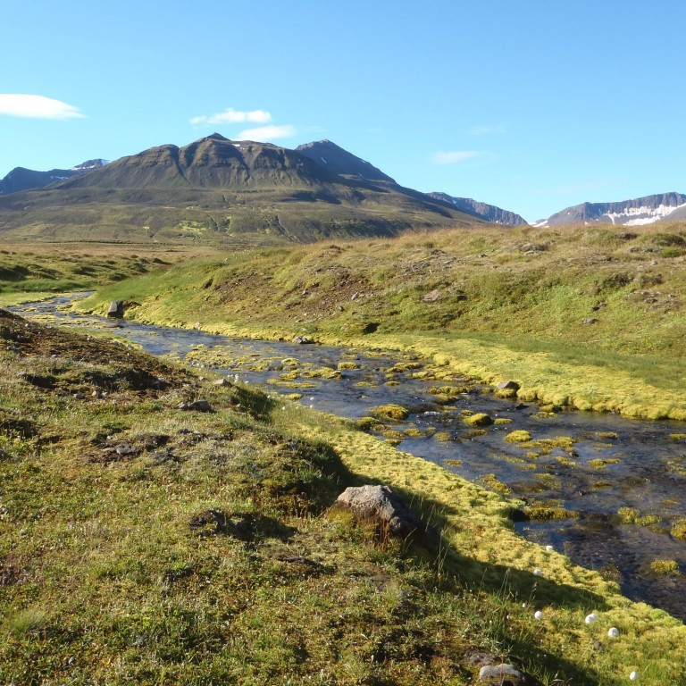 Á Lágheiði, Kerlingarhnjúkur í baksýn.