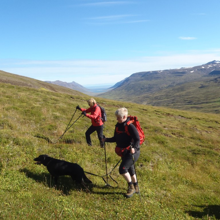 Haldið á brattann.
