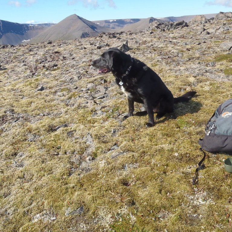 Tinna hvíldi sig líka.