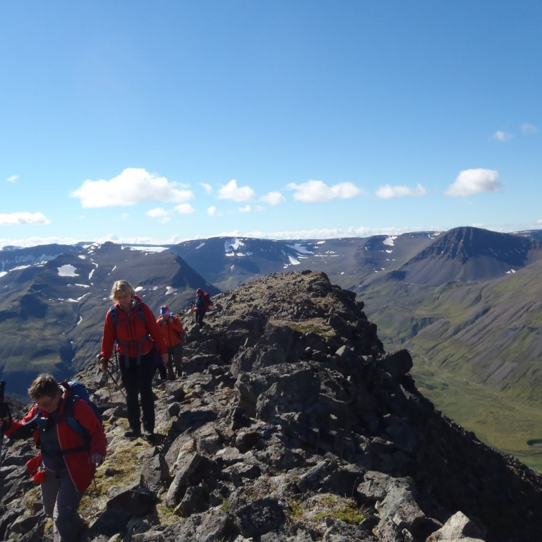 Einn stallurinn sigraður.