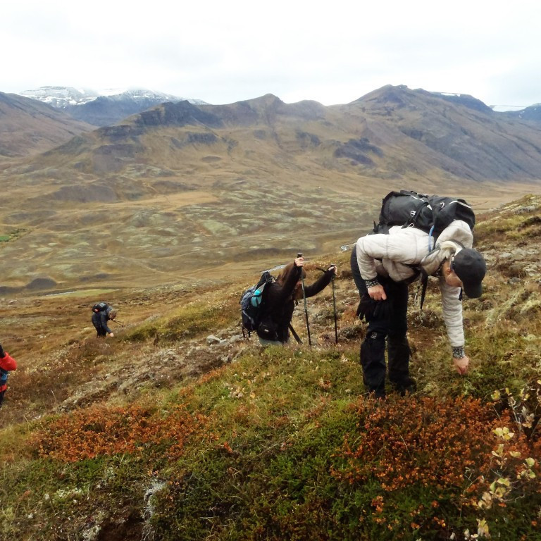 Mikið var um ber á leiðinni