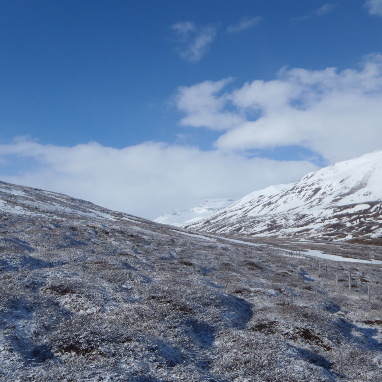 Smá föl var á jörðu eftir nóttina