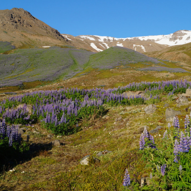 Takmarkið framundann.
