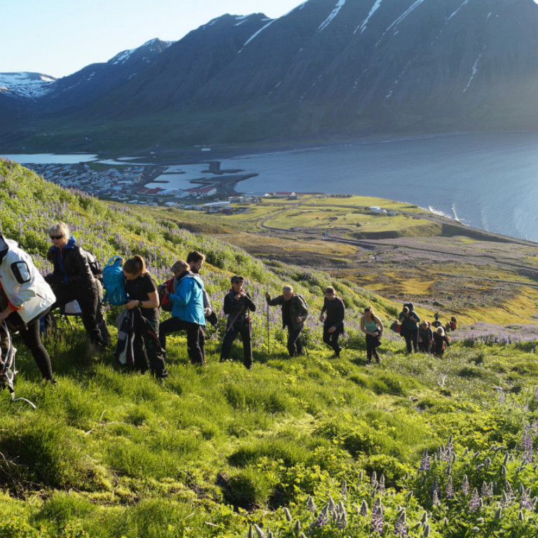 Í Lúpínubrekkunni.