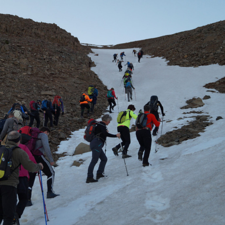 Gott að ganga í snjónum.