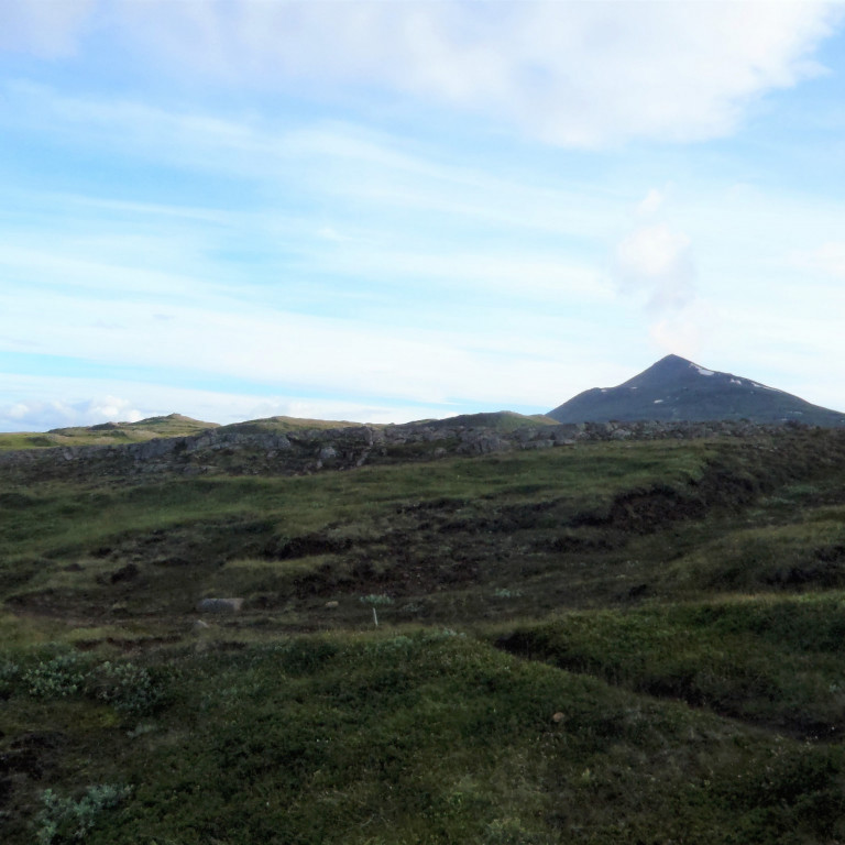 Súlur