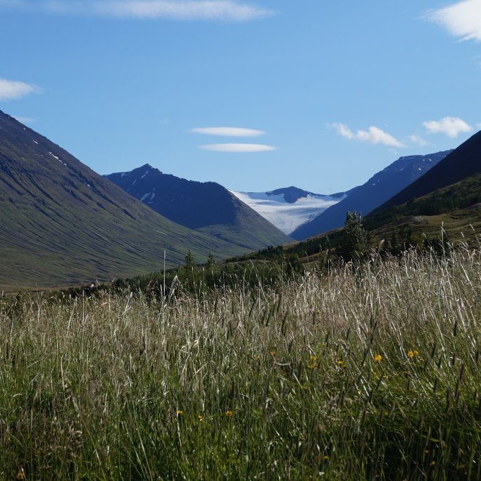 Gljúfurárjökull og blekkill í baksýn.