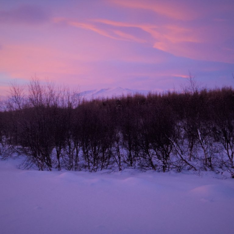 p1190004.jpg