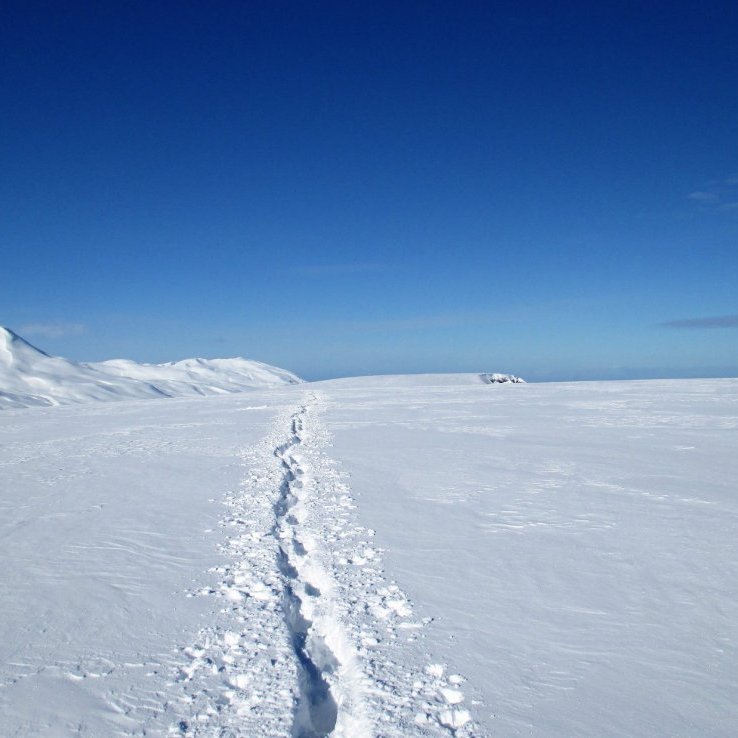 Víknafjöll og Náttfarvíkur undir mjallarsæng.