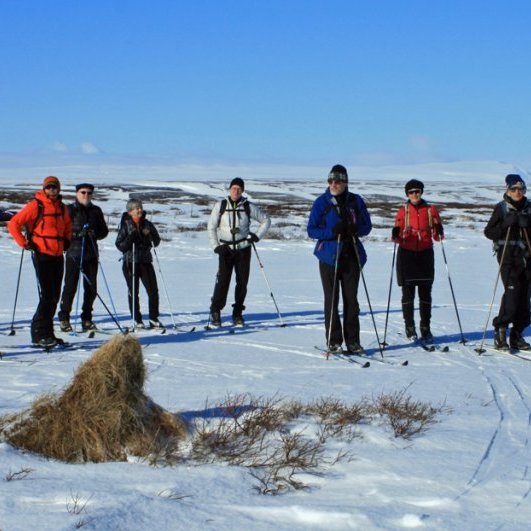 Komin í Kollásamýri suðaustan Másvatns.