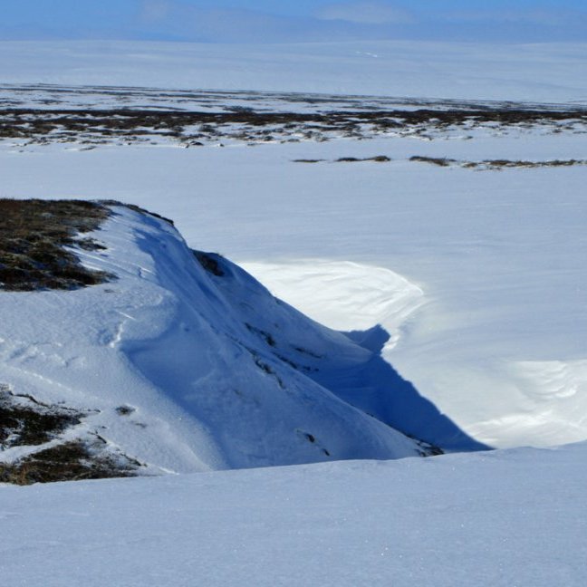 Gil Húsagrófarinnar vestast í Kollásamýri.