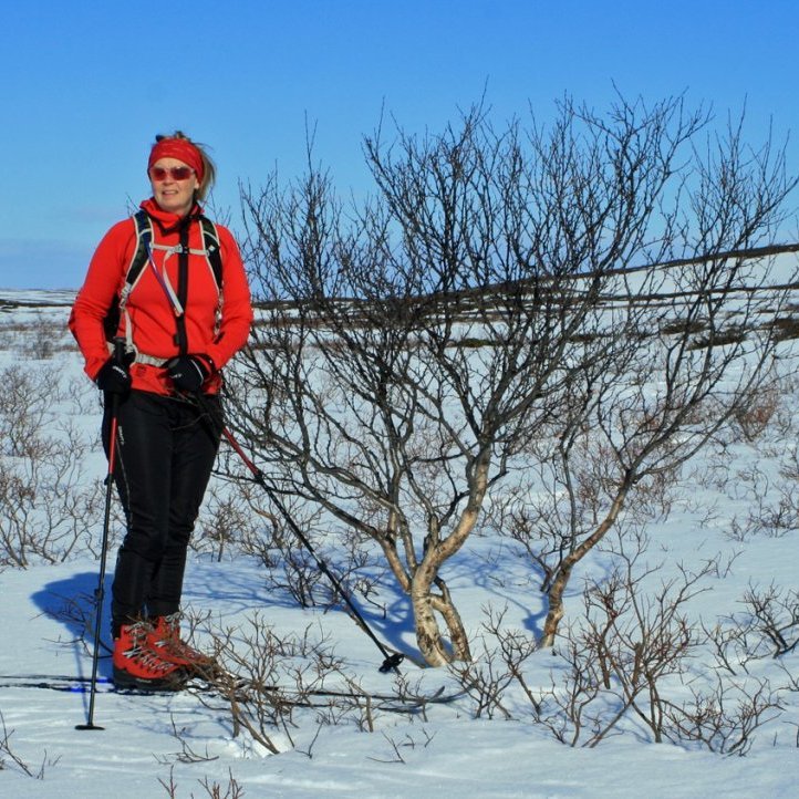 Halldóra Skúla við stæðilega birkihríslu vestan undir Vatnshólum austan Másvatns.