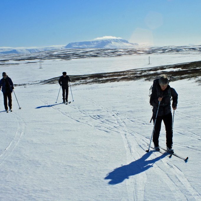 Á leið frá Kalmanstjarnarmýri vestur á Brúnarhallið. Bláfjall í baksýn.
