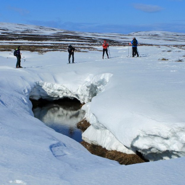Nyrst í Skollhólamýri. Þveráin var hér opin á köflum.