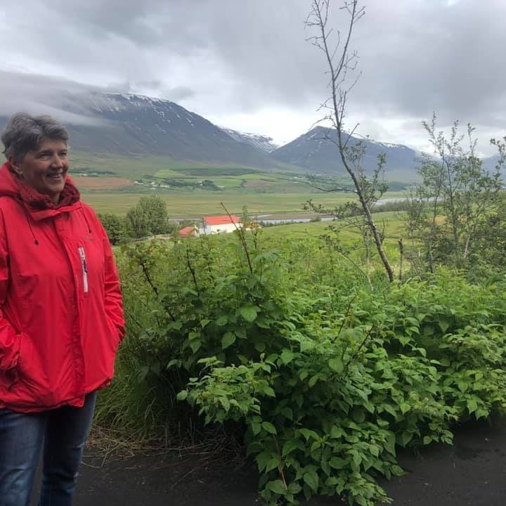 Anna og hindberjarunnarnir hans Helga.