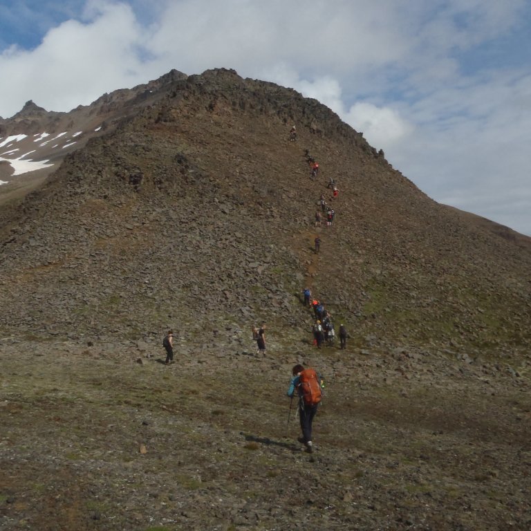 Hver hausinn eftir annan.