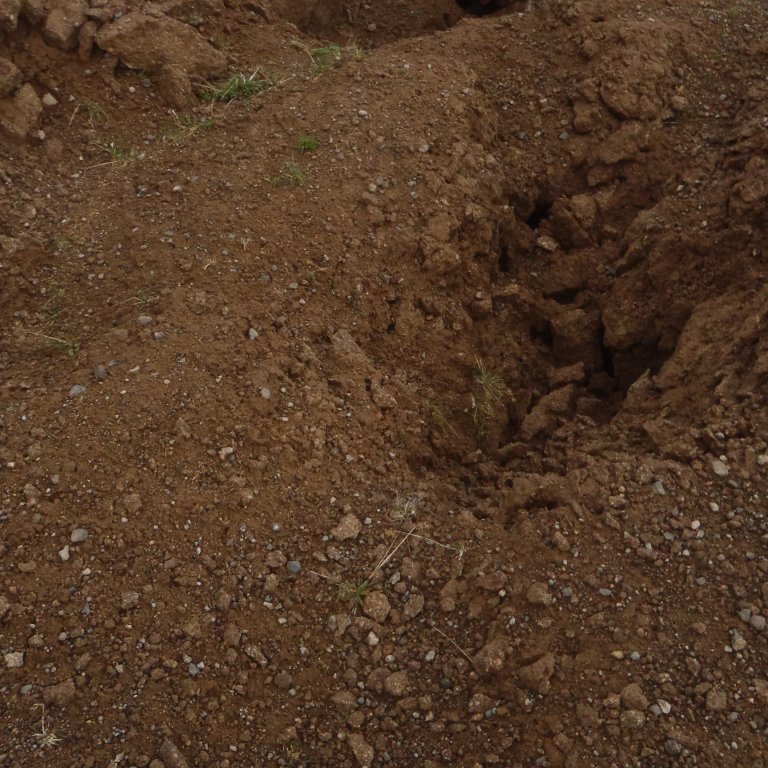 Súlahryggur að klofna.