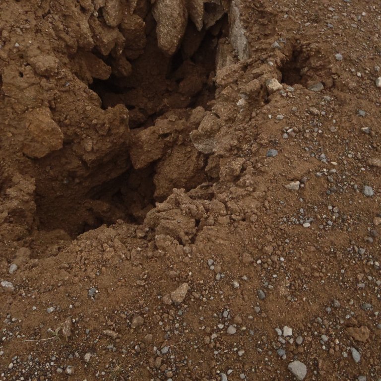 Súlahryggur að klofna.