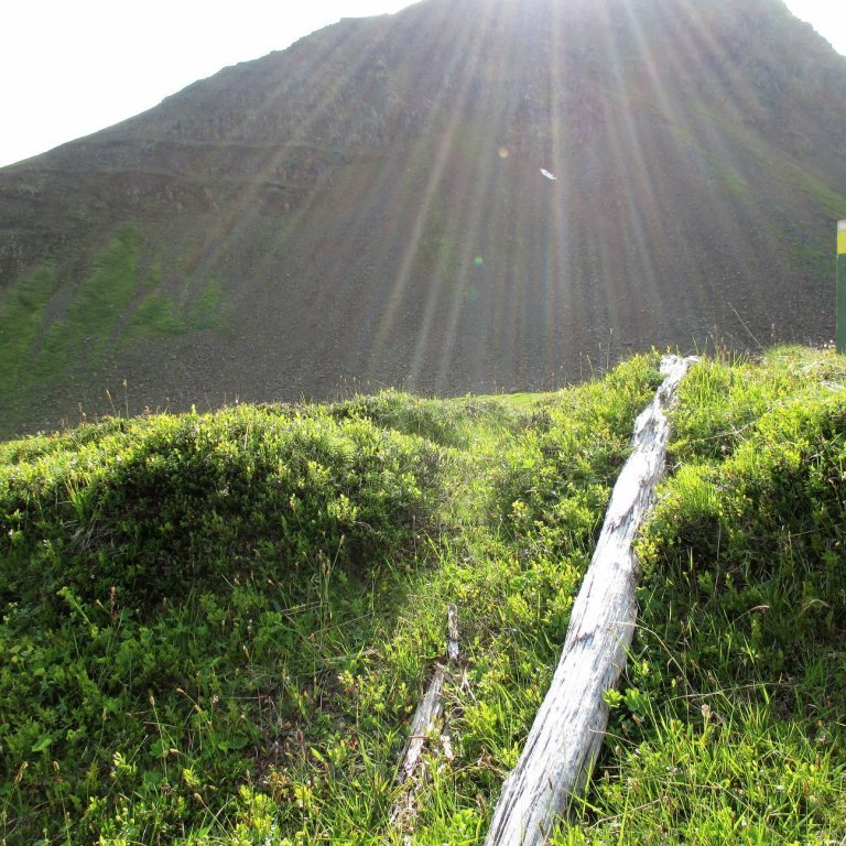 Staur og stika. Grímuhnjúkur í baksýn.
