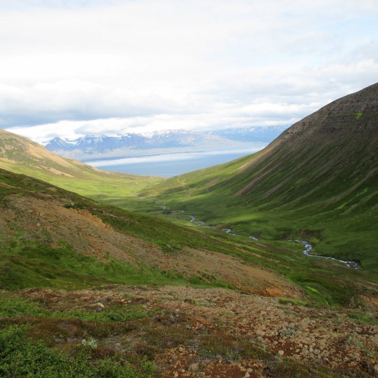 Horft niður Böggvisstaðadal úr mynni Grímudals.
