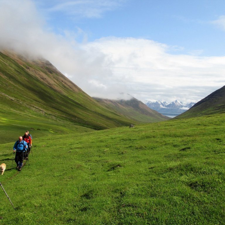 Skyggnst upp til fjalla.