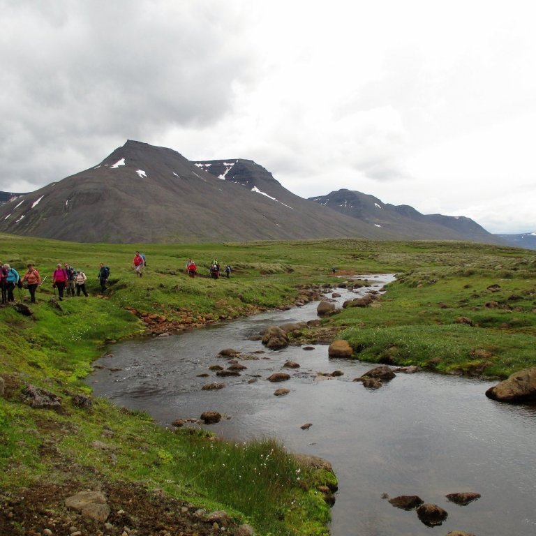 Gengið með Heiðará sem hér er orðin að læk enda komið nálægt vatnaskilum. Í baksýn Víkingsfjall.