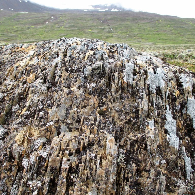 Sérkennileg klöpp á háheiðinni. Svona flöguberg í ýmsum útgáfum er viða að sjá á heiðarbrúninni Hörgárdalsmegin.