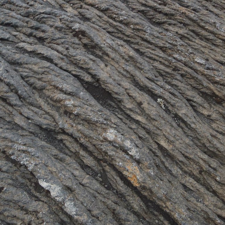 Hraunreypi