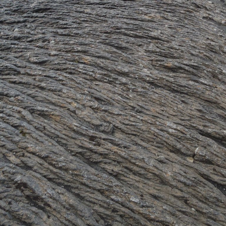 p7270020